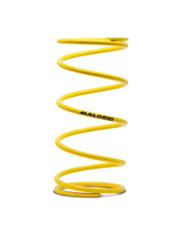 MUELLE EMBRAGUE MALOSSI...