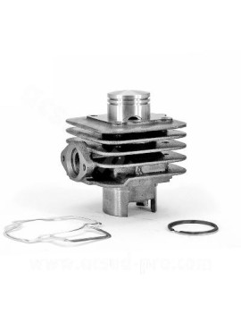 CILINDRO PIAGGIO ZIP /...