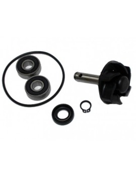KIT DE REPARACION BOMBA DE...